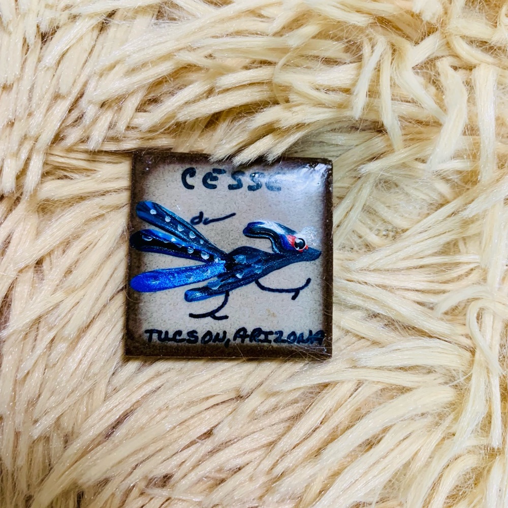 Road Runner Tucson, Arizona Souvenir Magnet hand painted signed by Artist